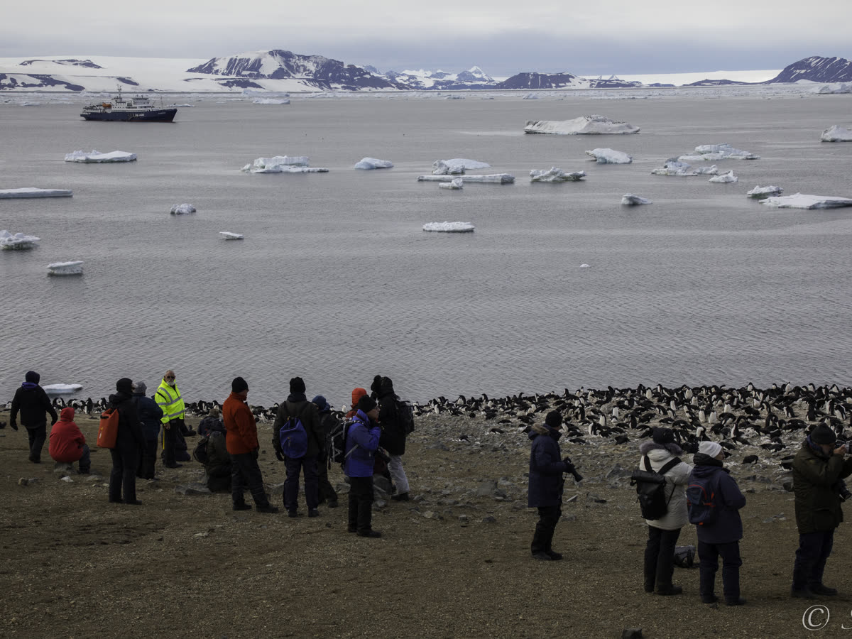 Weddell Sea - Basecamp