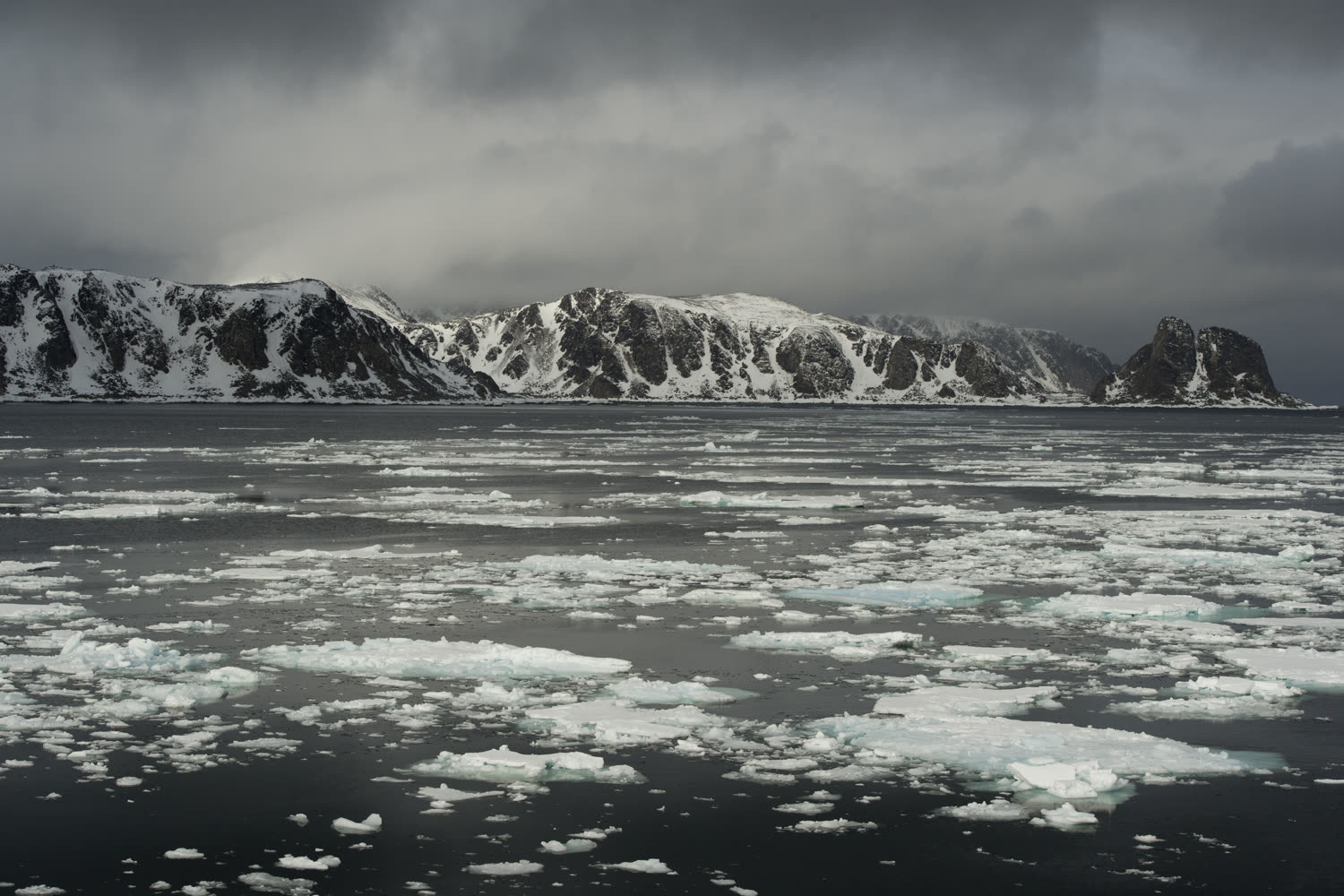 Ytre Norskoya, Nordwest-Spitzbergen — Foto: Oceanwide Expeditions