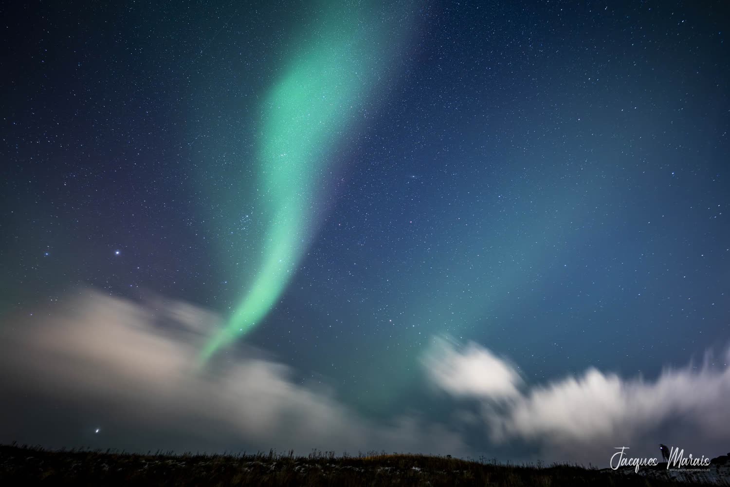 Aurora Borealis ueber Nordostisland — Foto: Oceanwide Expeditions