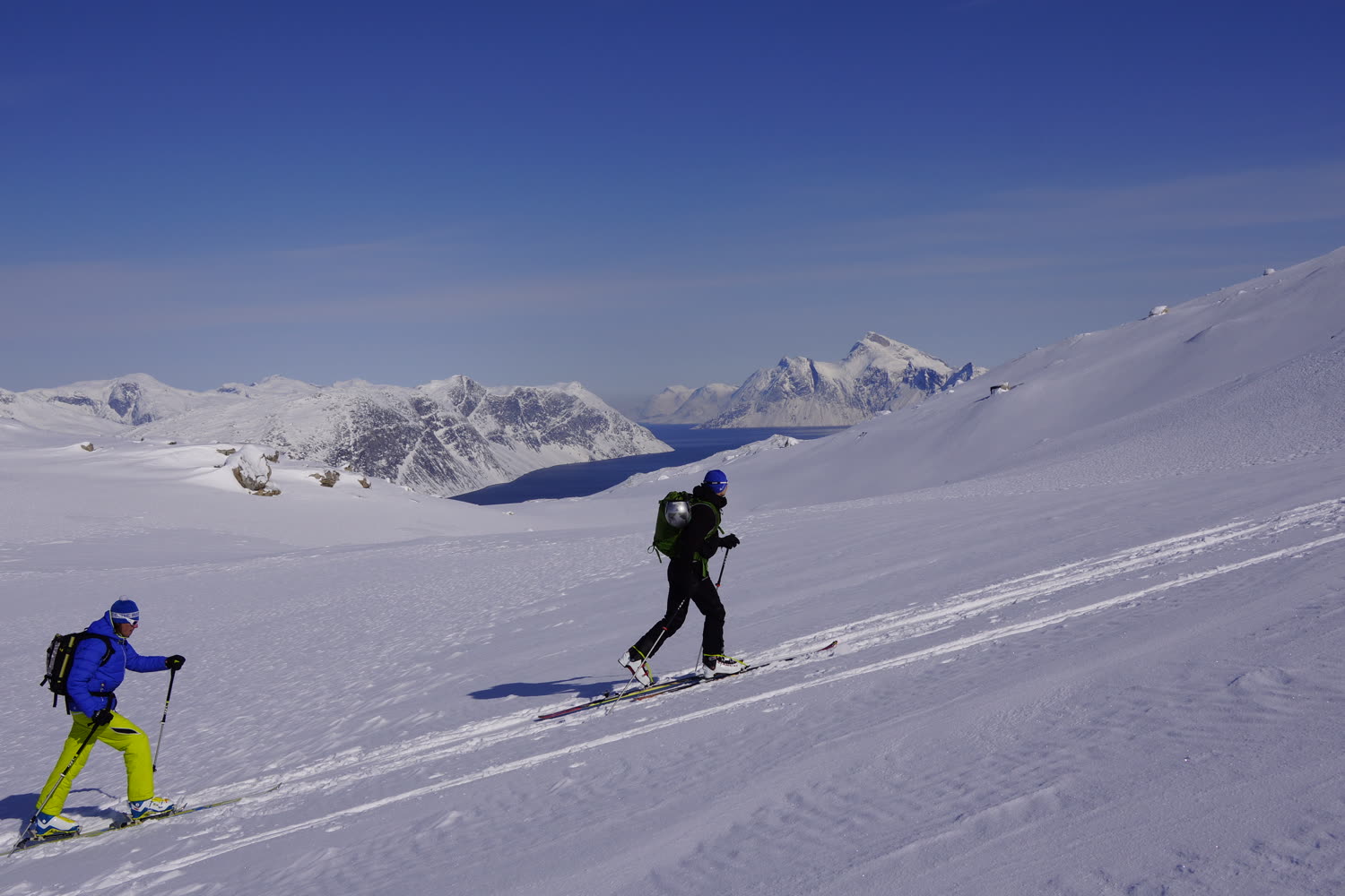 Skiabfahrt im Tiefschnee — Foto: Oceanwide Expeditions