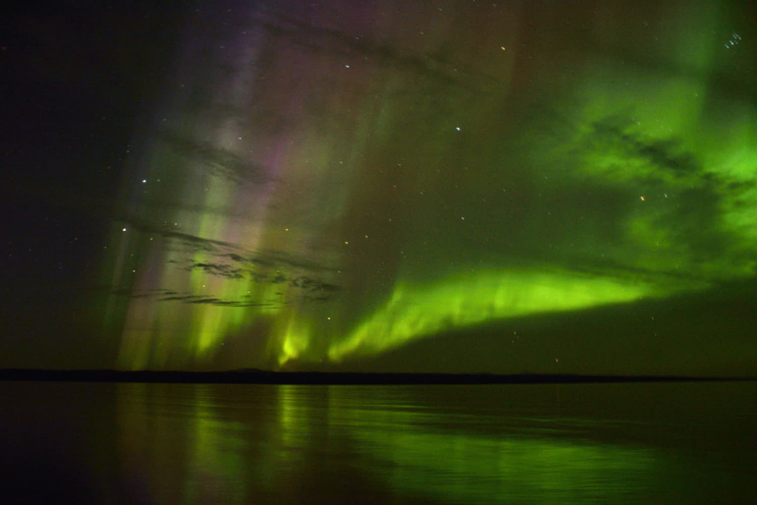 Nordlichter ueber Rypefjord, Scoresby Sund — Foto: Oceanwide Expeditions
