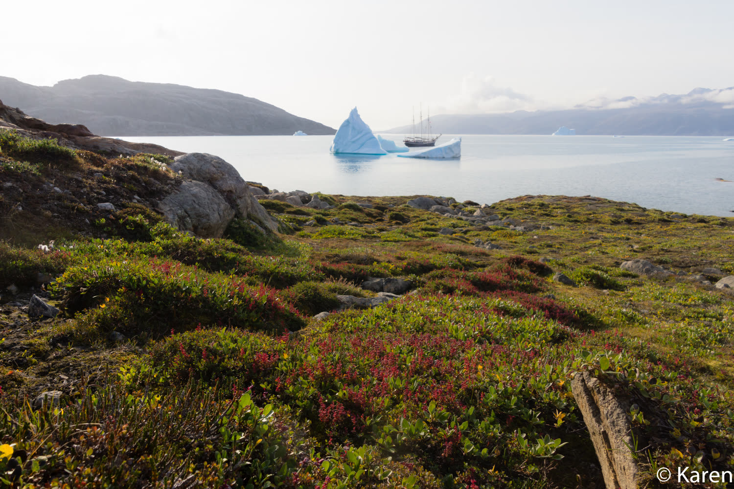 Scoresby Sund, Milneland — Foto: Oceanwide Expeditions