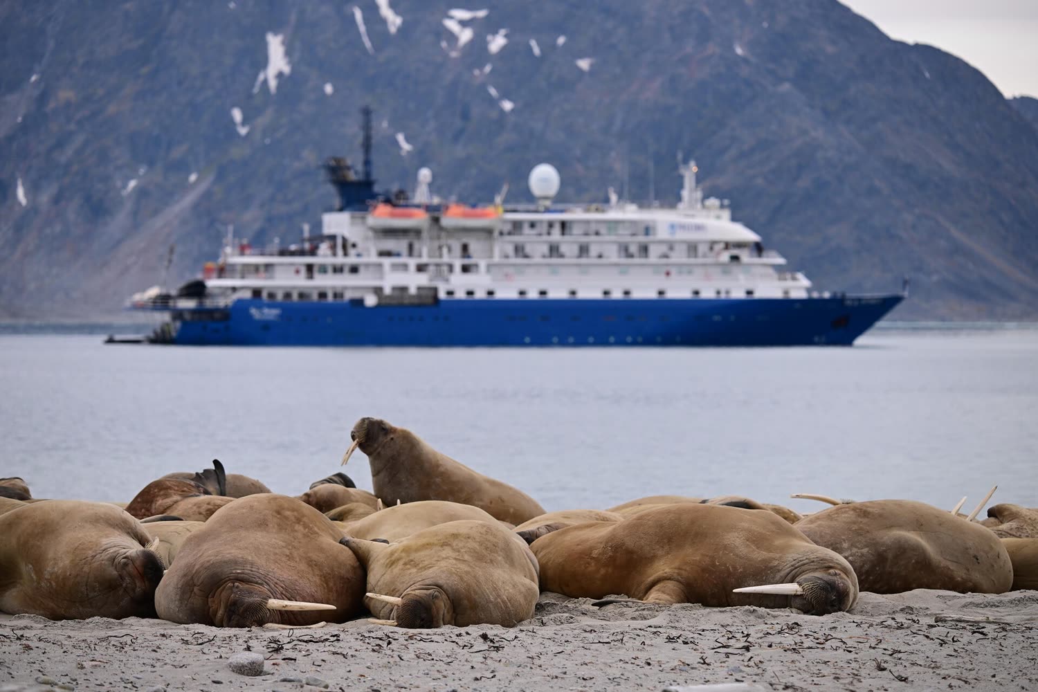 Reiseeindruck 1 — Foto: Poseidon Expeditions