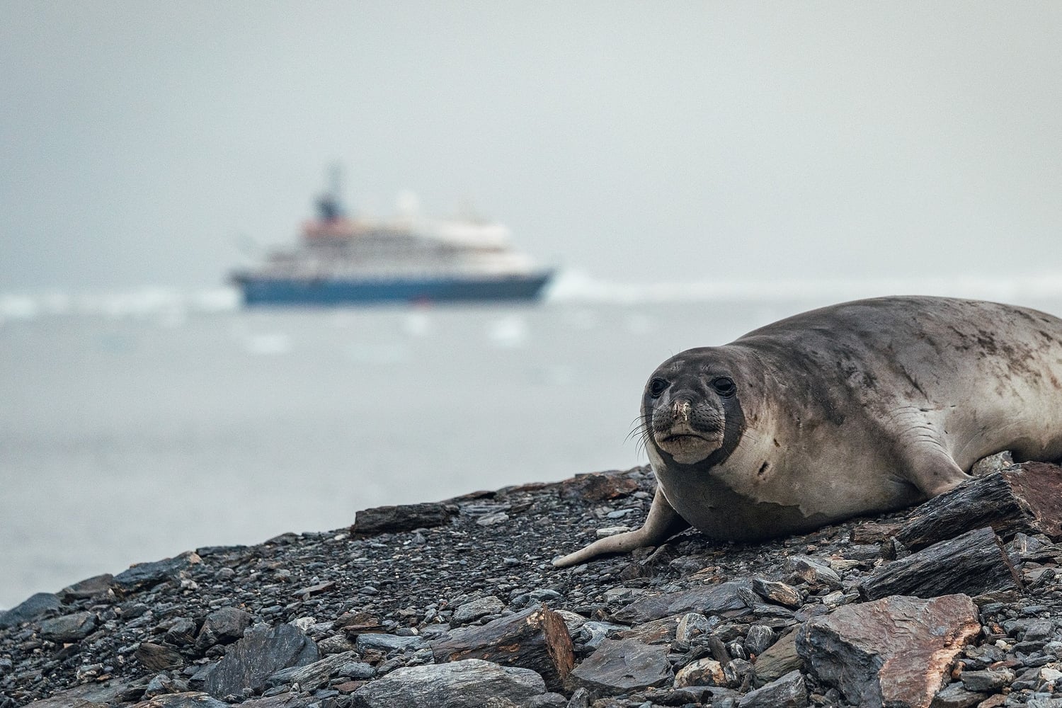 Reiseeindruck 4 — Foto: Poseidon Expeditions
