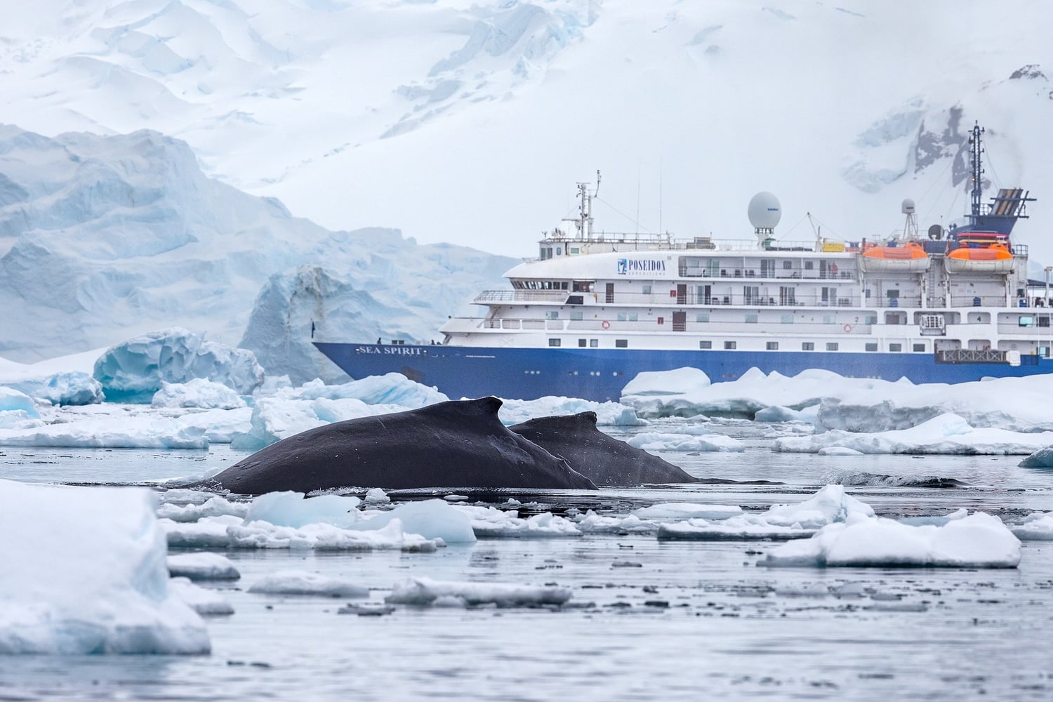 Reiseeindruck 6 — Foto: Poseidon Expeditions