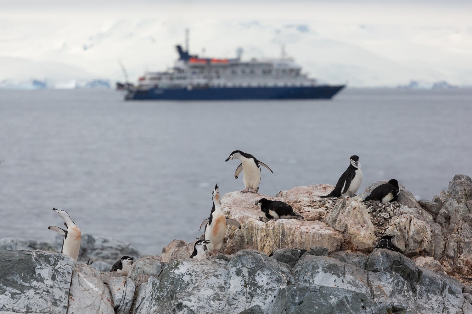 Reiseeindruck 3 — Foto: Poseidon Expeditions