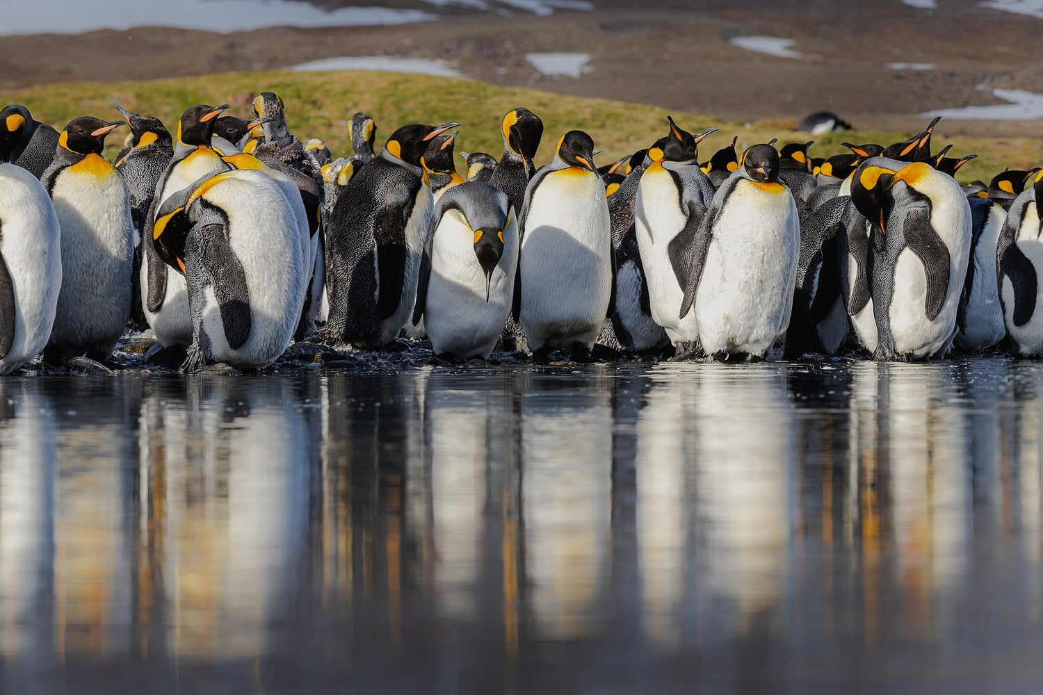 Reiseeindruck 3 — Foto: Poseidon Expeditions