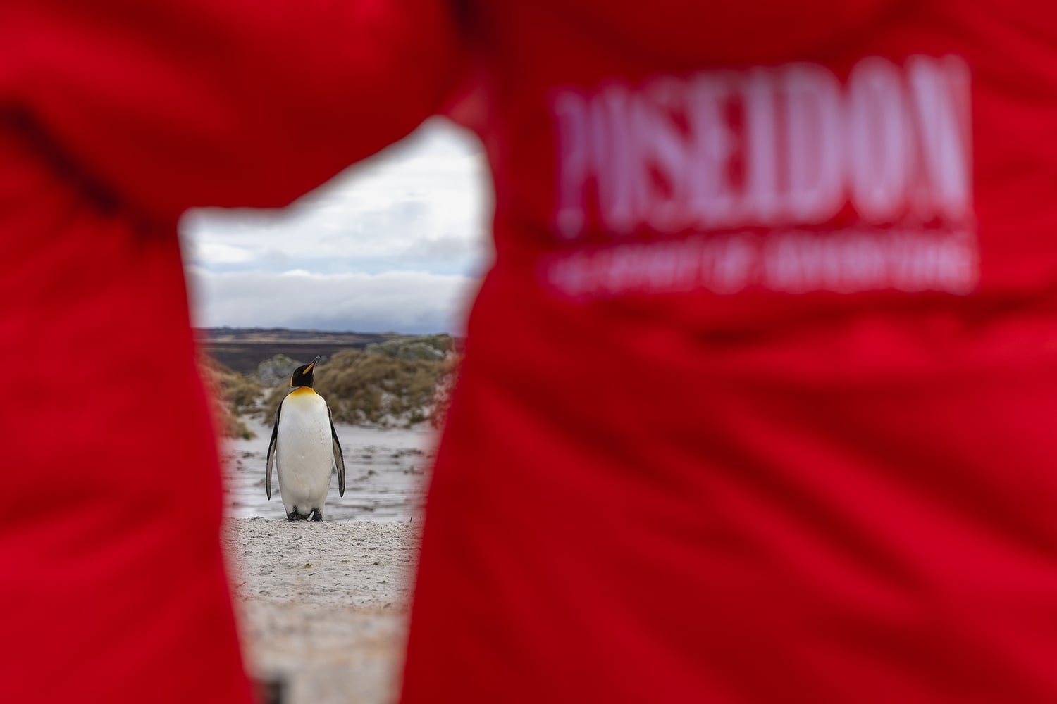 Reiseeindruck 4 — Foto: Poseidon Expeditions