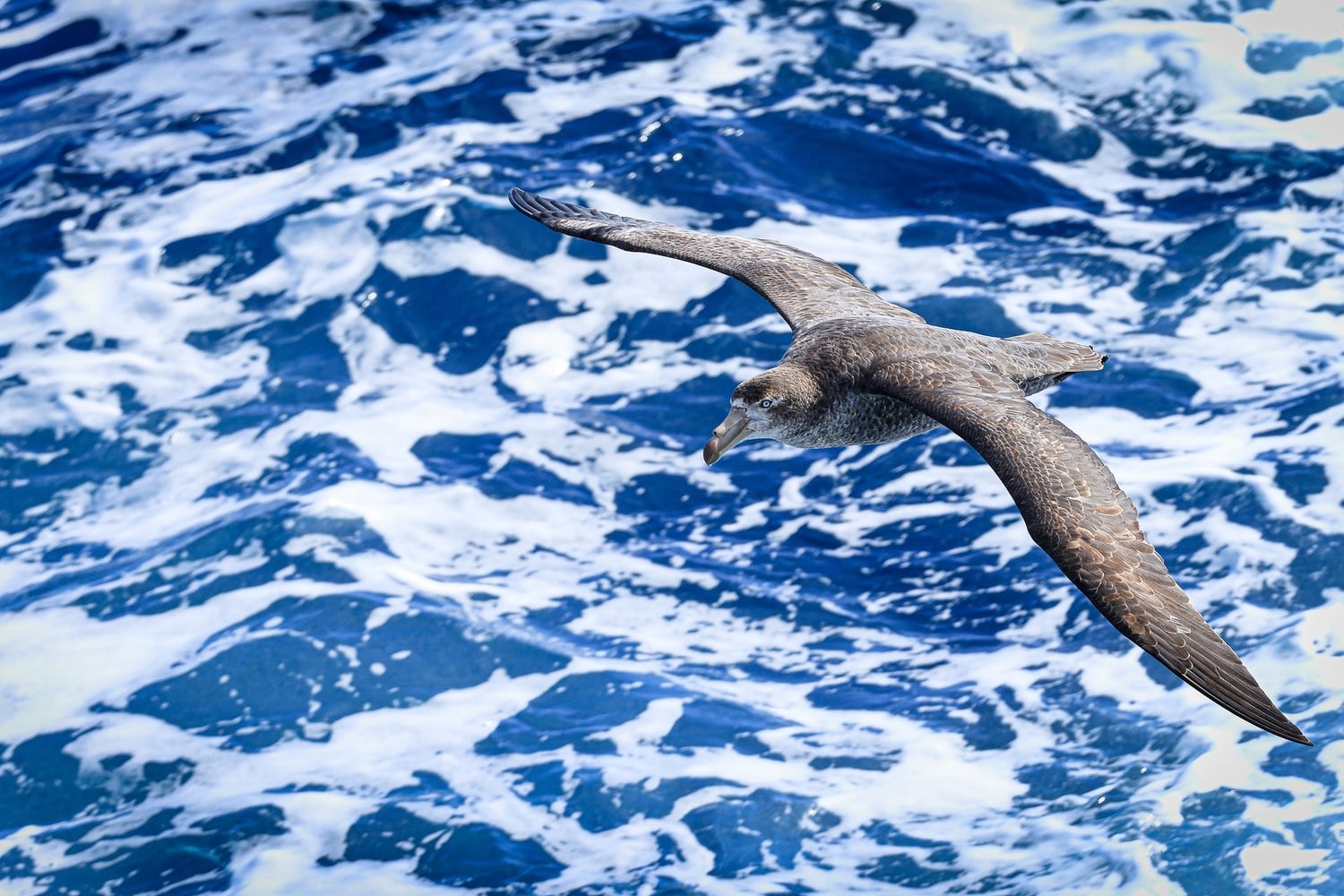 Reiseeindruck 6 — Foto: Poseidon Expeditions