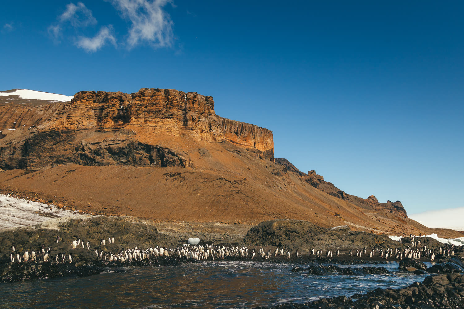 Brown Bluff — Foto: Quark Expeditions