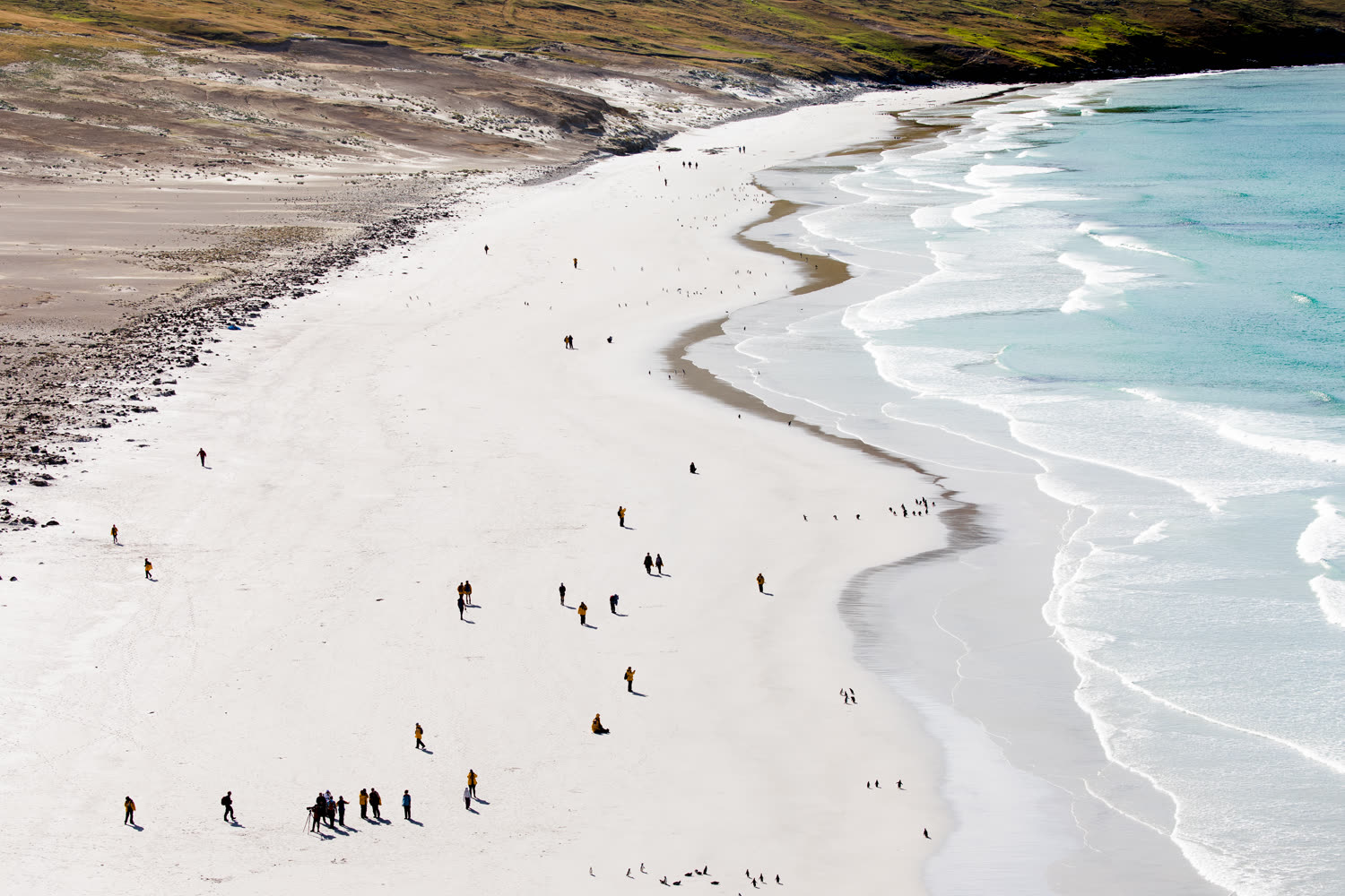Falkland-Strand — Foto: Quark Expeditions