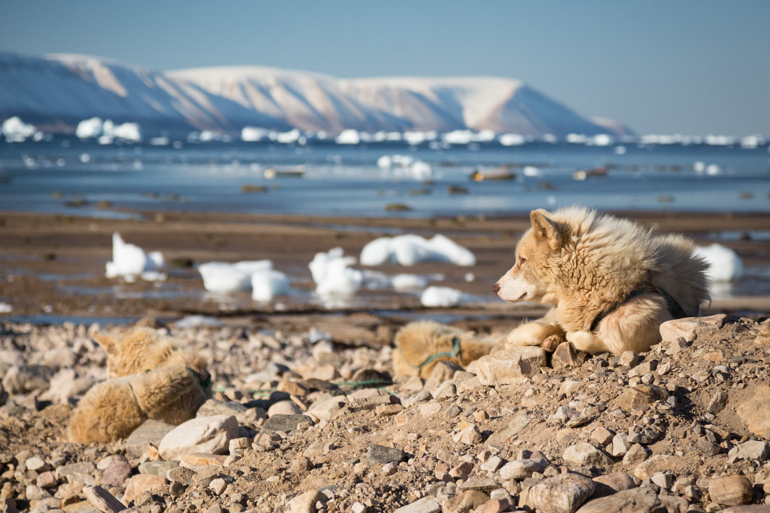 Qaanaaq, Nordgrönland — Foto: Quark Expeditions