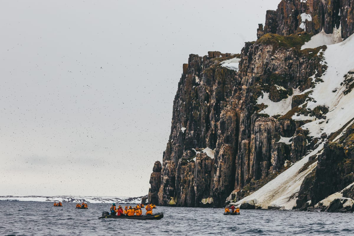 Zodiacs unter den Vogelfelsen — Foto: Quark Expeditions