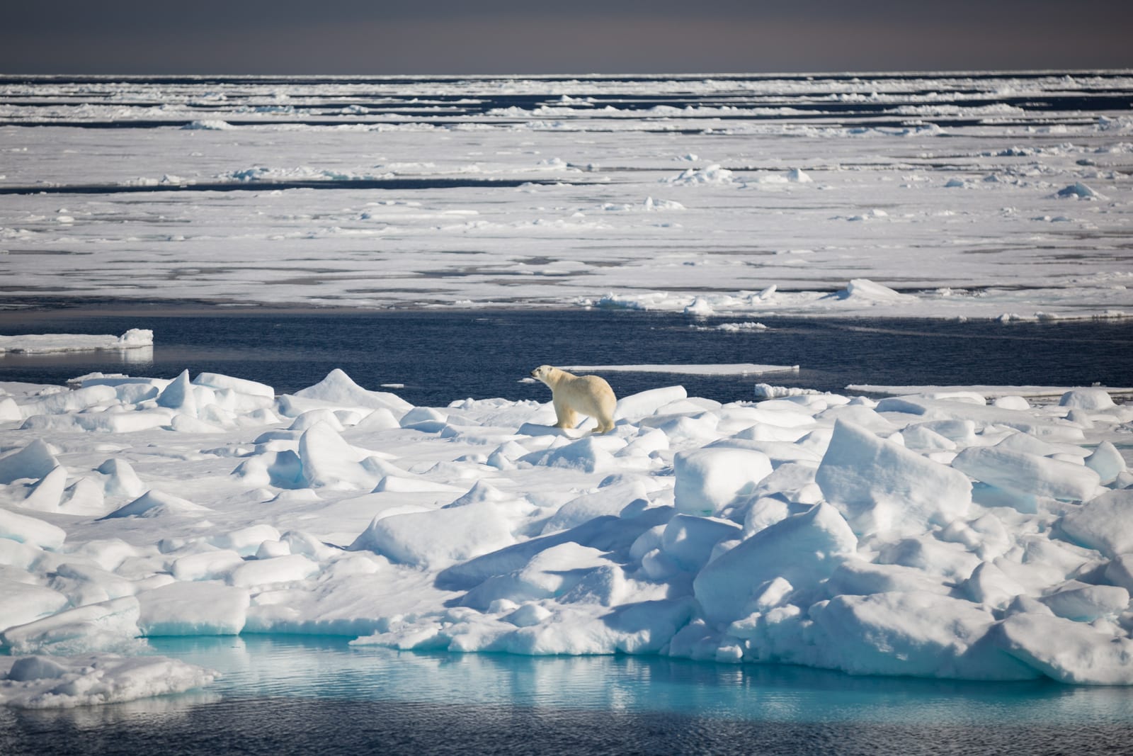 Spitsbergen Umrundung | MS Ocean Explorer