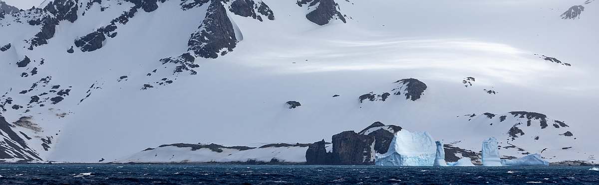 HDS29-26Elephant Island 3 © Sara Jenner - Oceanwide Expeditions.jpg_Sara Jenner-slider