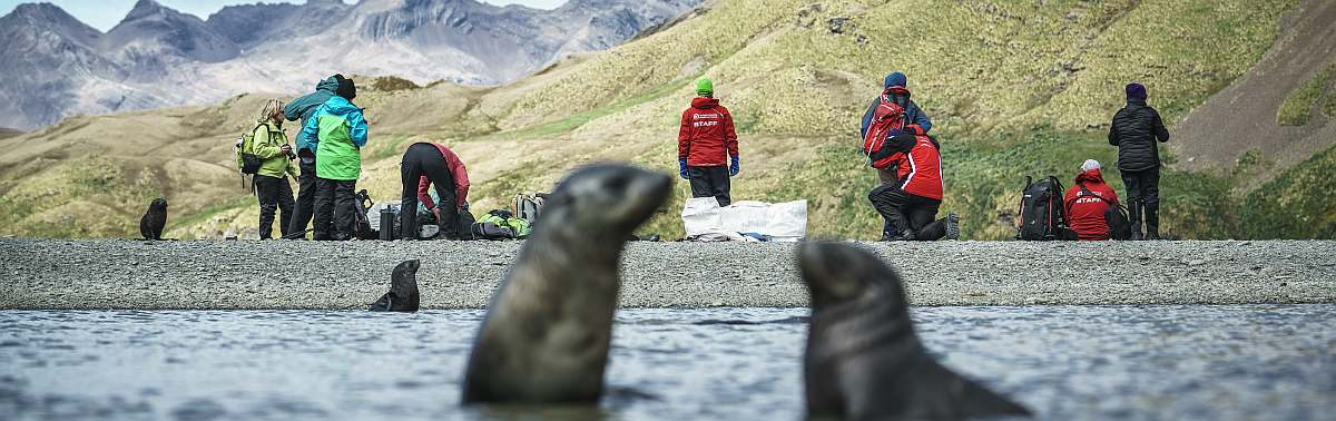 HDS29-26-Falklands, South Georgia, Ant Peninsula © Fotografie Dietmar Denger-Oceanwide Expeditions140.jpg_Dietmar Denger-small