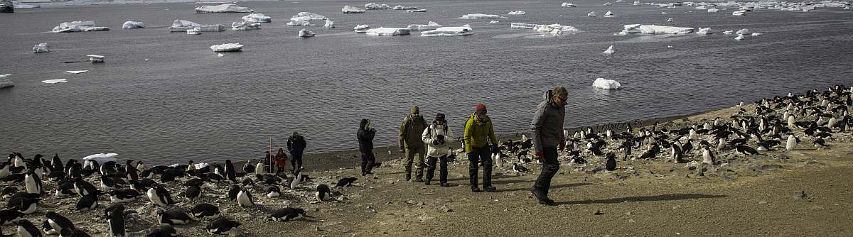 HDS28-27-Landing on Devil Island with view to Erebus & Terror Gulf © Sara Jenner - Oceanwide Expeditions.jpg_Sara Jenner-small