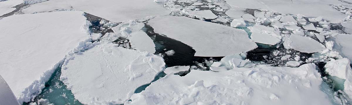 OTL-Nordspitzbergen-Spitsbergen, Pack ice, July © Franco Banfi-Oceanwide Expeditions (1)_Franco Banfi-small