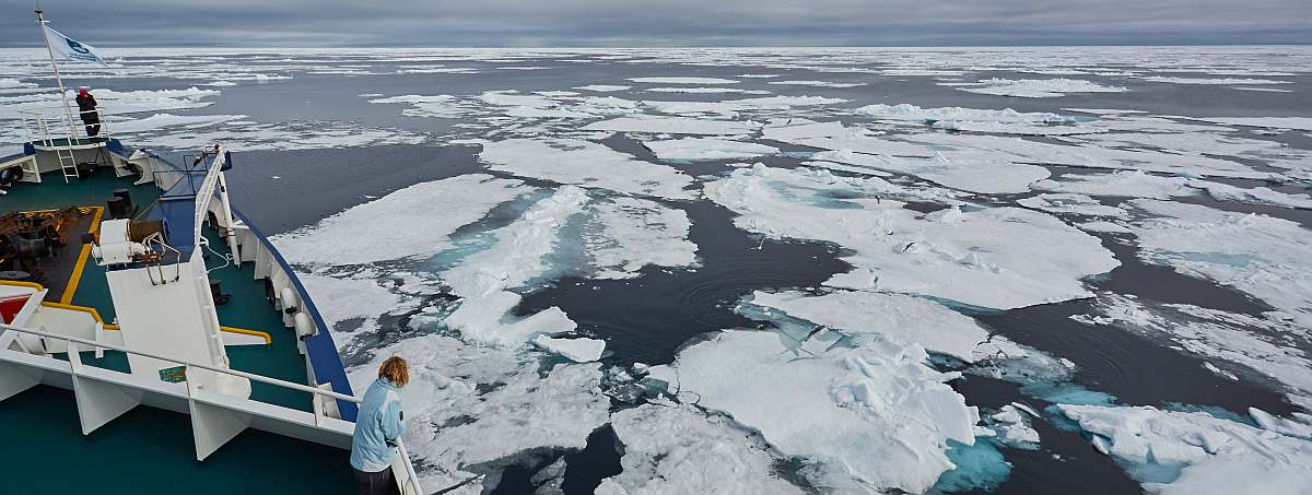 OTL-North Spitsbergen Polar Bear Special, June © Markus Eichenberger-Oceanwide Expeditions (66).jpg_Markus Eichenberger-small