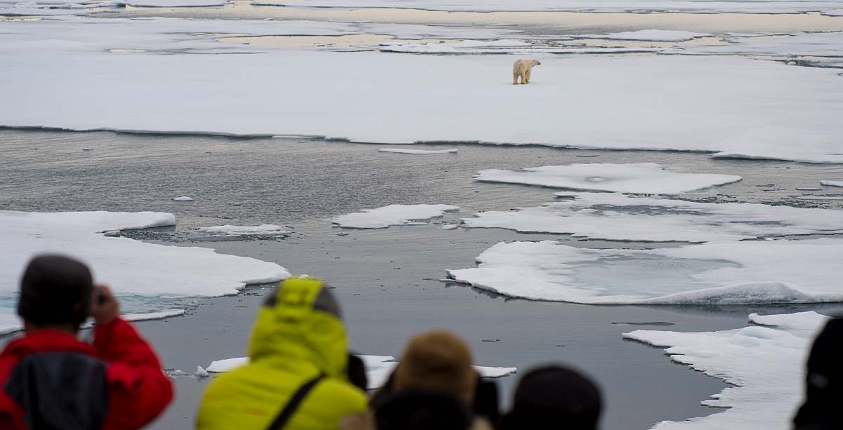 OTL-Around Spitsbergen, Kvitoya, August © Zoutfotografie-Oceanwide Expeditions (80).JPG_Zout Fotografie-small