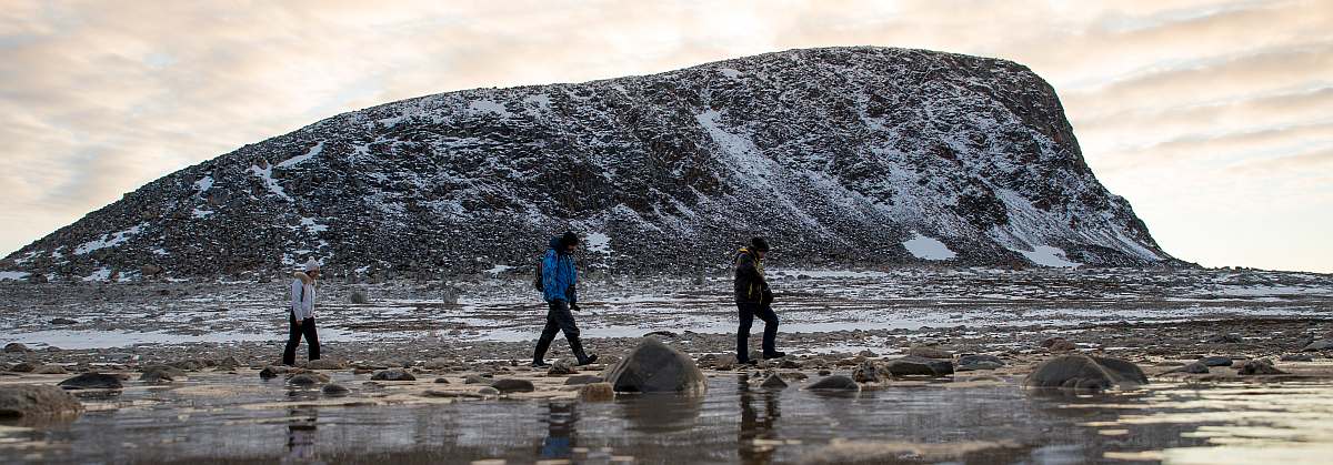 OTL-Around Spitsbergen, Kvitoya, August © Zoutfotografie-Oceanwide Expeditions (94).JPG_Zout Fotografie-small