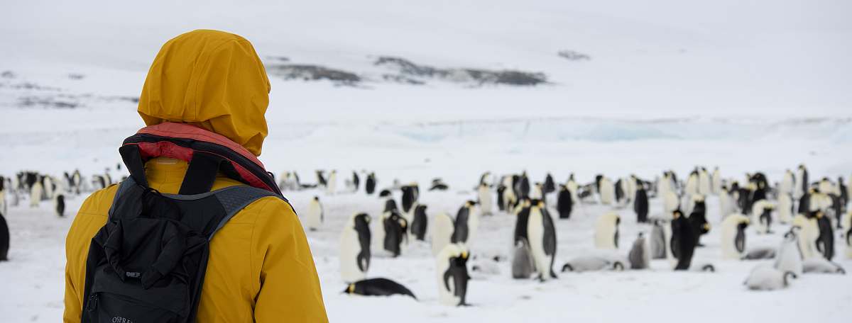 OTL23-23_Day4_Snow-Hill-Island_Antarctica-WeddellSea © Alexandra den Dikken_OEX_IMG_5186.jpeg_Alexandra den Dikken-small