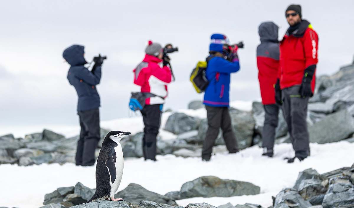 OTL- Day 14, Two Hummock island 3 © Sara Jenner - Oceanwide Expeditions.jpg_Sara Jenner-small