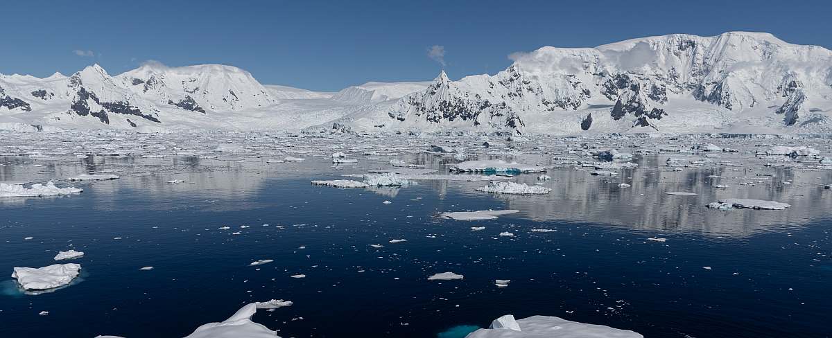 OTL24-22, Day 8 Flandres Bay 4 © Sara Jenner - Oceanwide Expeditions.jpg_Sara Jenner-small