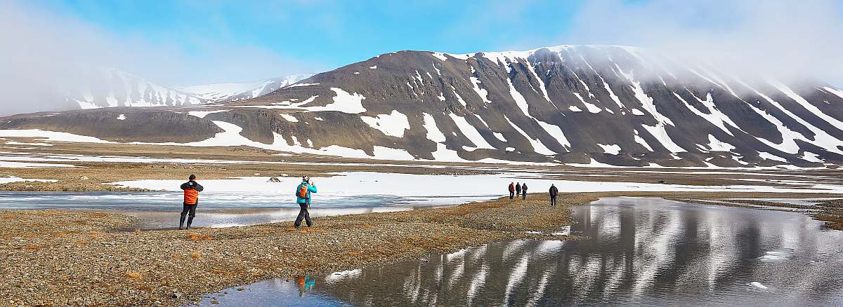 PLA-North Spitsbergen Polar Bear Special, June © Markus Eichenberger-Oceanwide Expeditions (157).jpg_Markus Eichenberger-small
