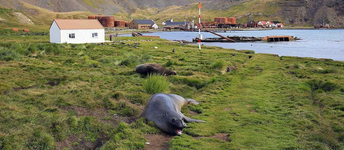 Poseidon_@-Filip-Kulisev_SG_Grytviken-11_small