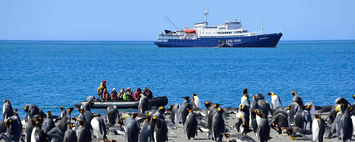 PLA-Plancius at St Andrews Bay, King Penguin colony, South Georgia_Martin van Lokven-small