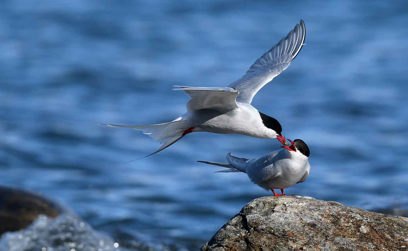 spitzbergen_poseidon_@ Page Chichester_Wanderung (7)_slider
