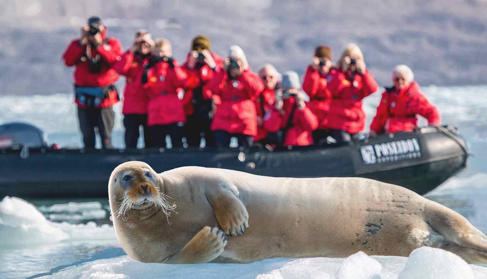 spitzbergen_poseidon_© Jonathan_Zaccaria_slider