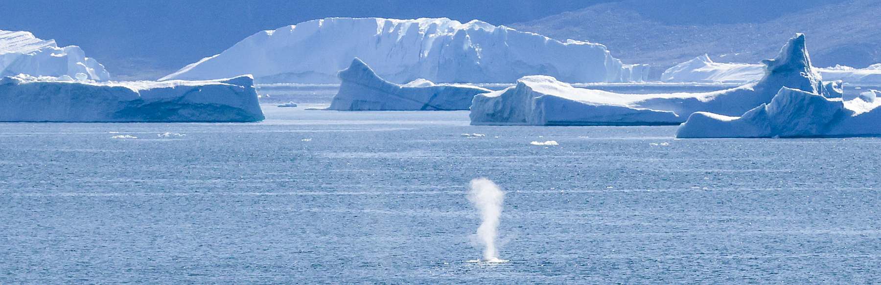 OA-D4_Greenland_Akulleq_Uummannaq_16-slider