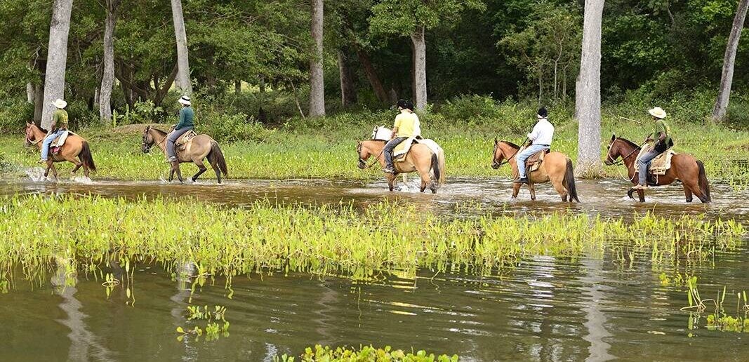 reitausflug-im-nordpantanal-e1723122729756