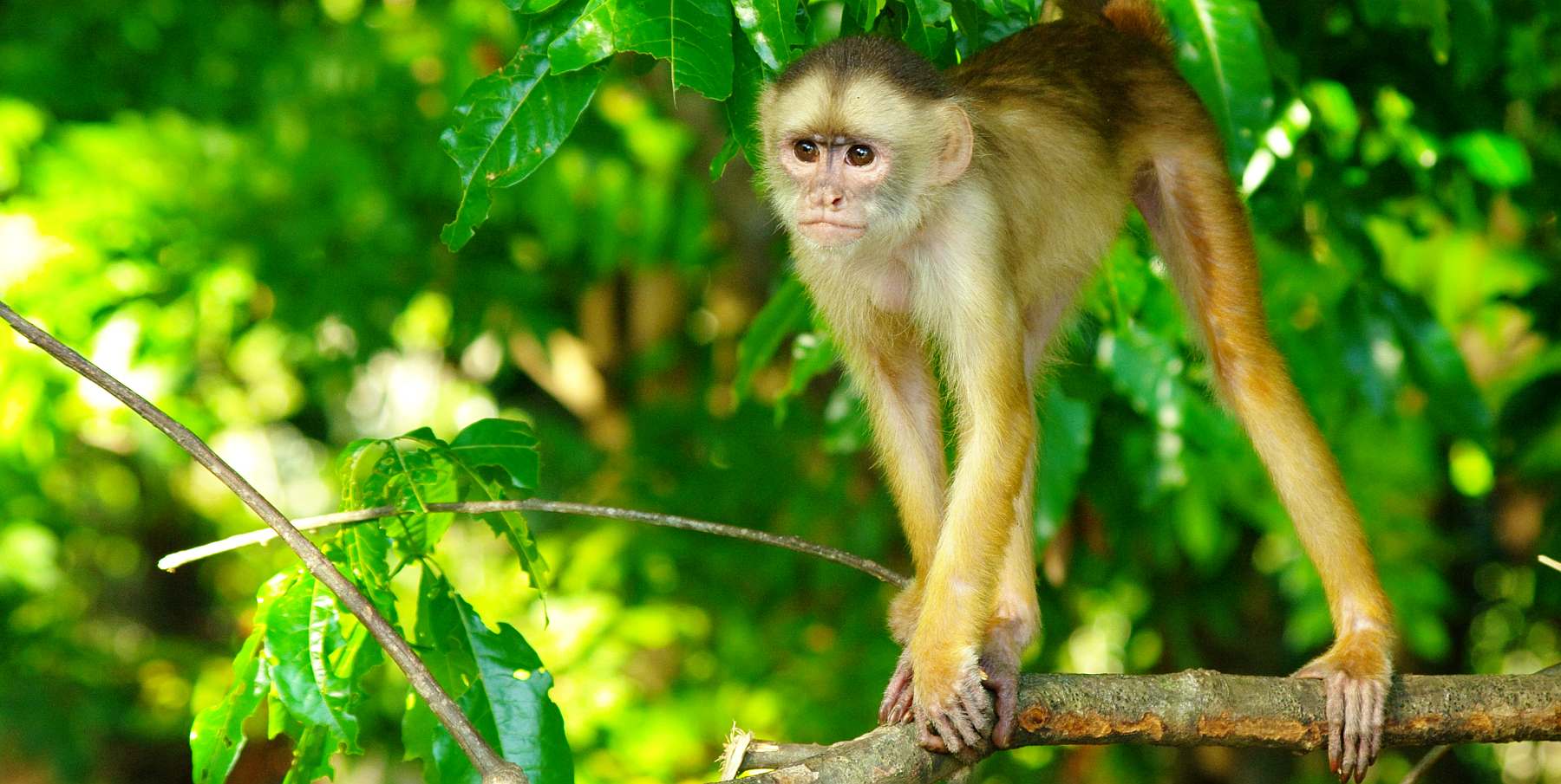 Brasilien-shutterstock_537487039-slider