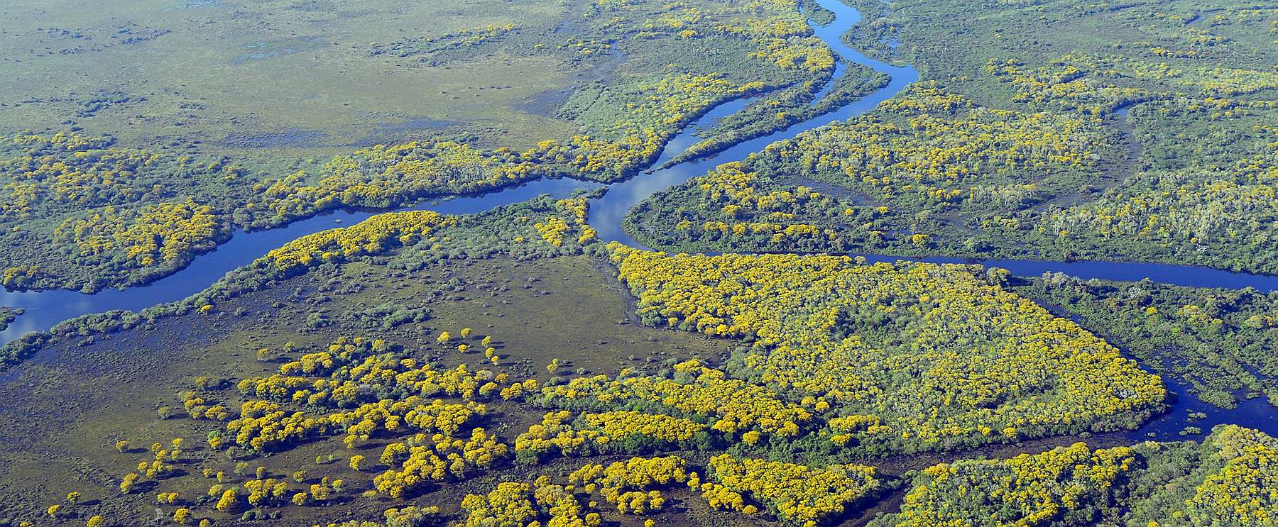 Brasilien-Pixabay_pantanal-5379257-slider