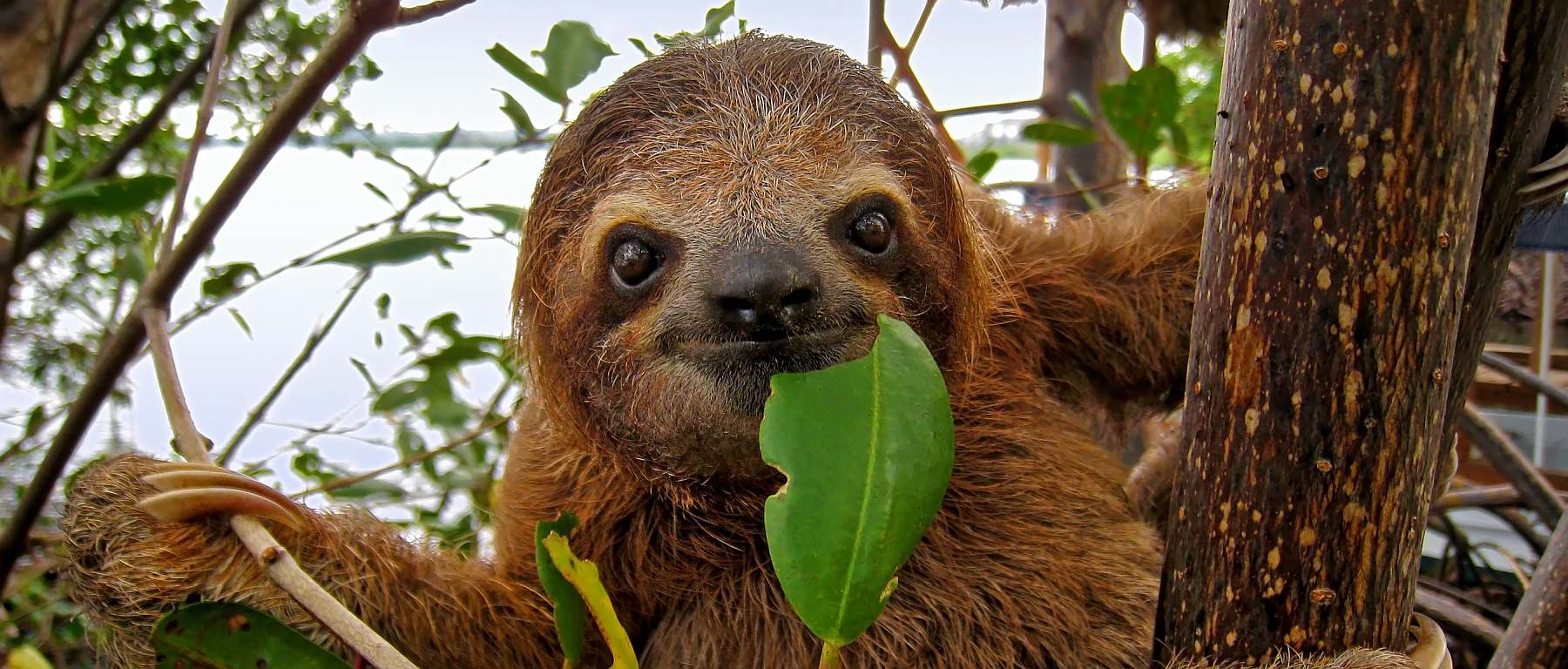 Costa-Rica-shutterstock_157876628(1)-bearbeitet