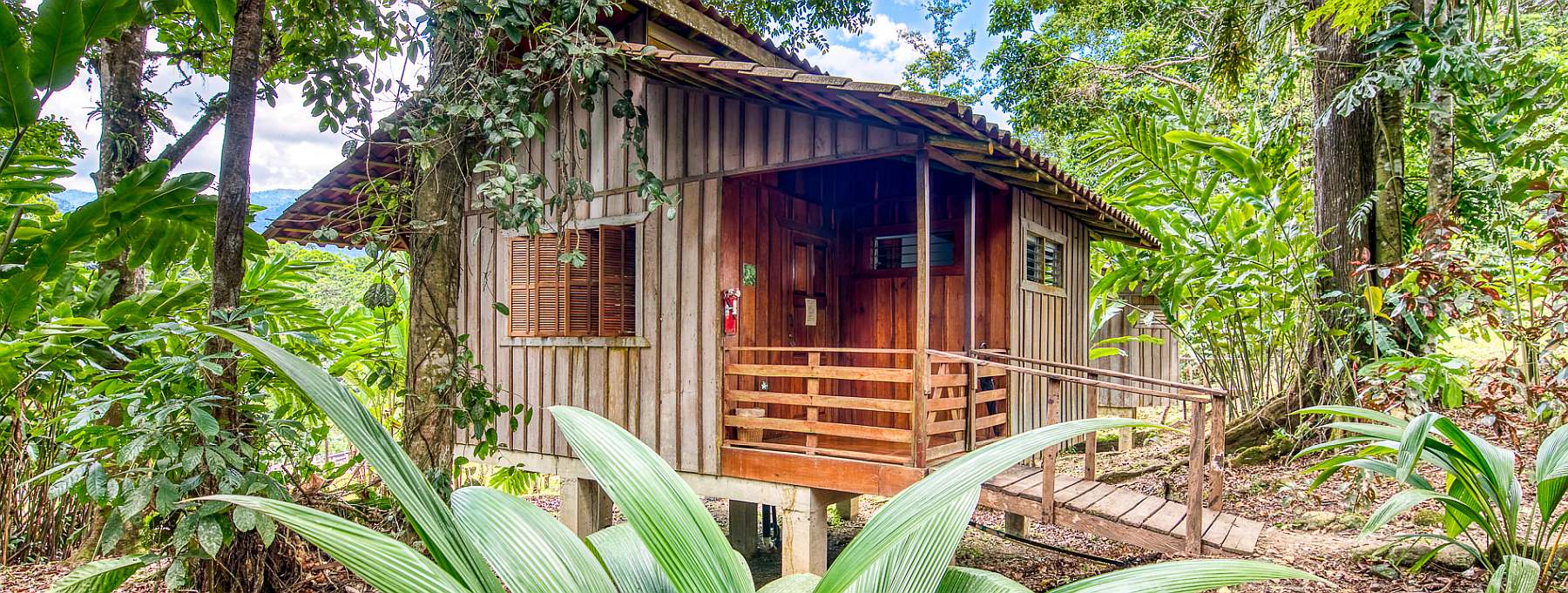 Costa-Selva Bananito Superior Exterior 2-slider