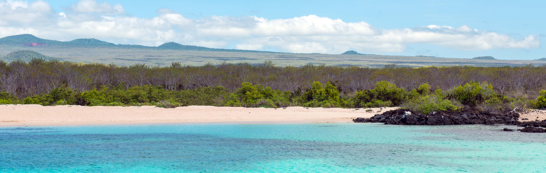 YOLITA-shutterstock_2018411780-slider