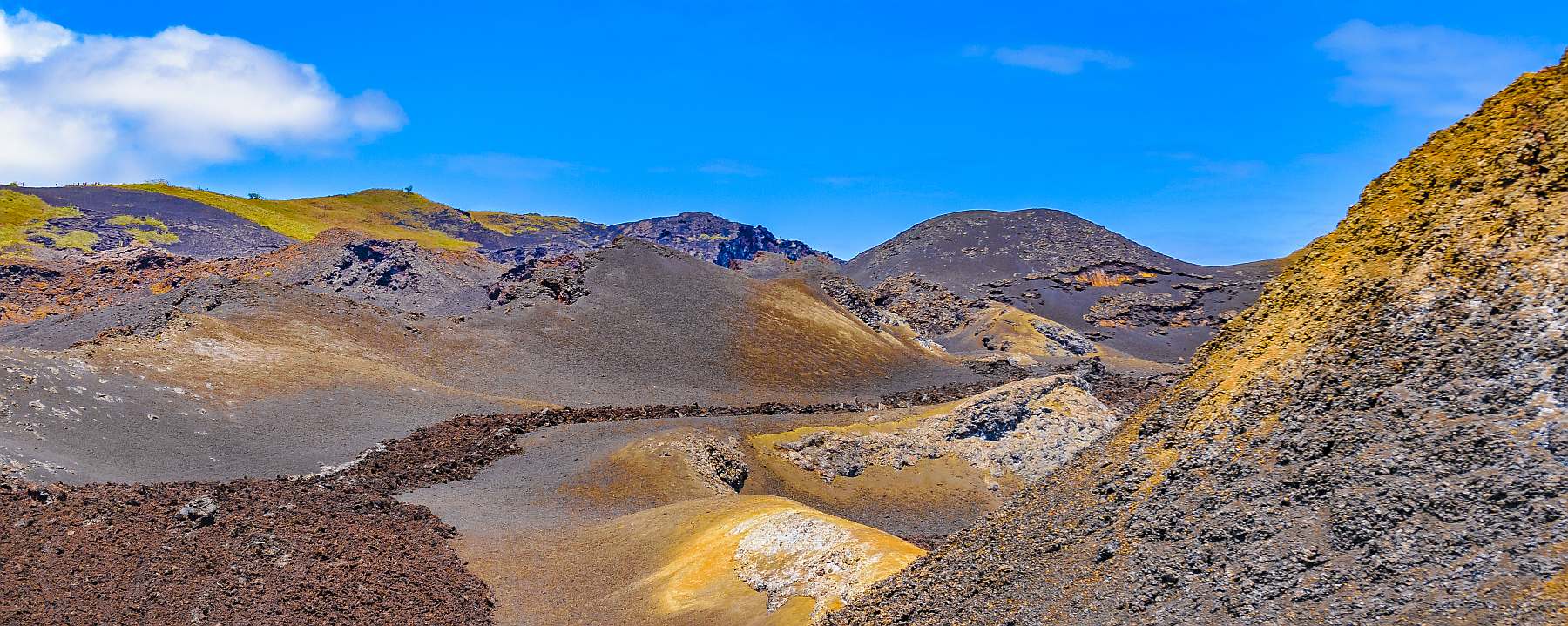 YOLITA-shutterstock_705547231-slider