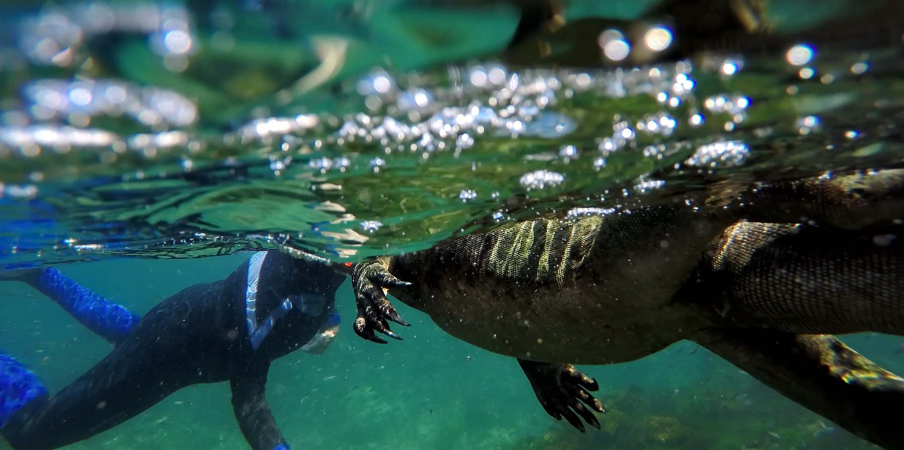 YOLITA-shutterstock_2519746731-slider