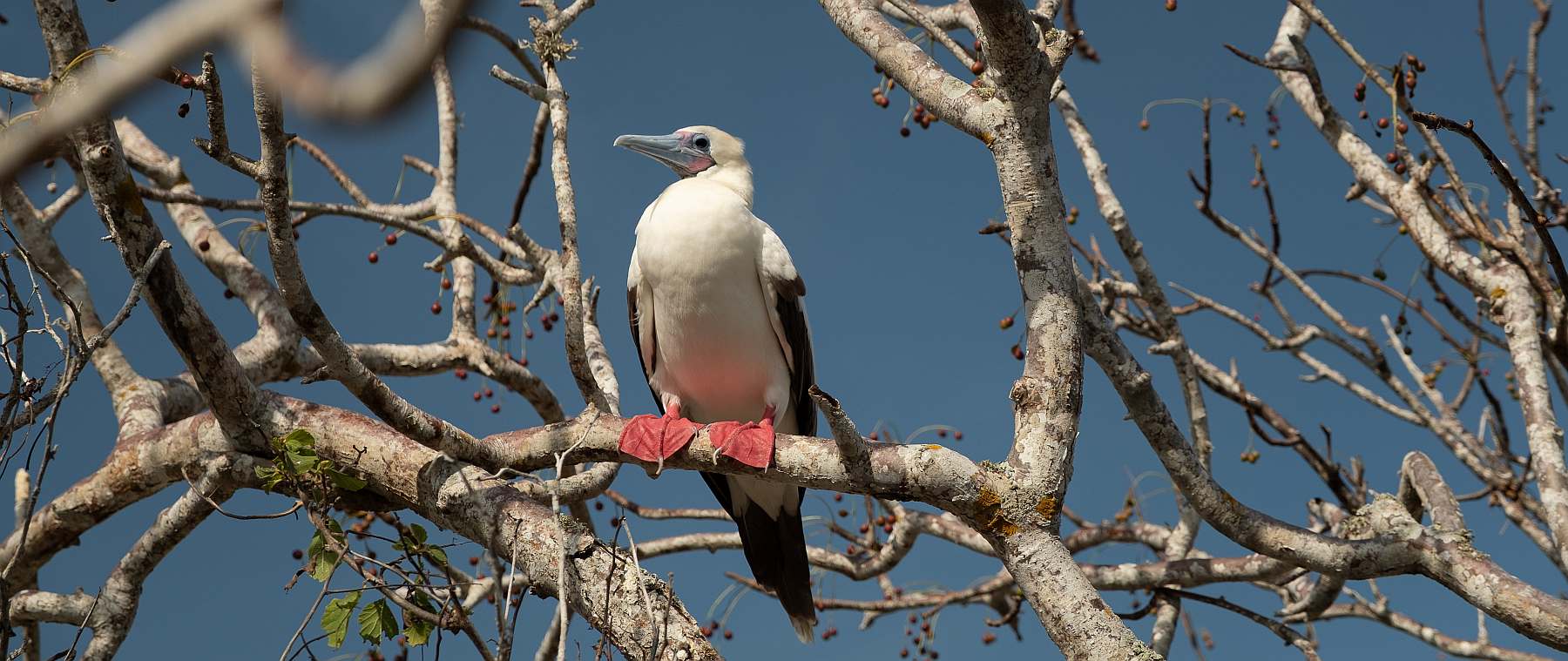 Yolita-shutterstock_2569050215-slider