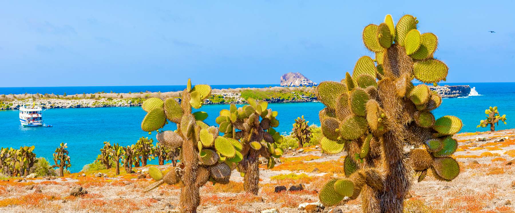 Galapagos-shutterstock_427509208-slider