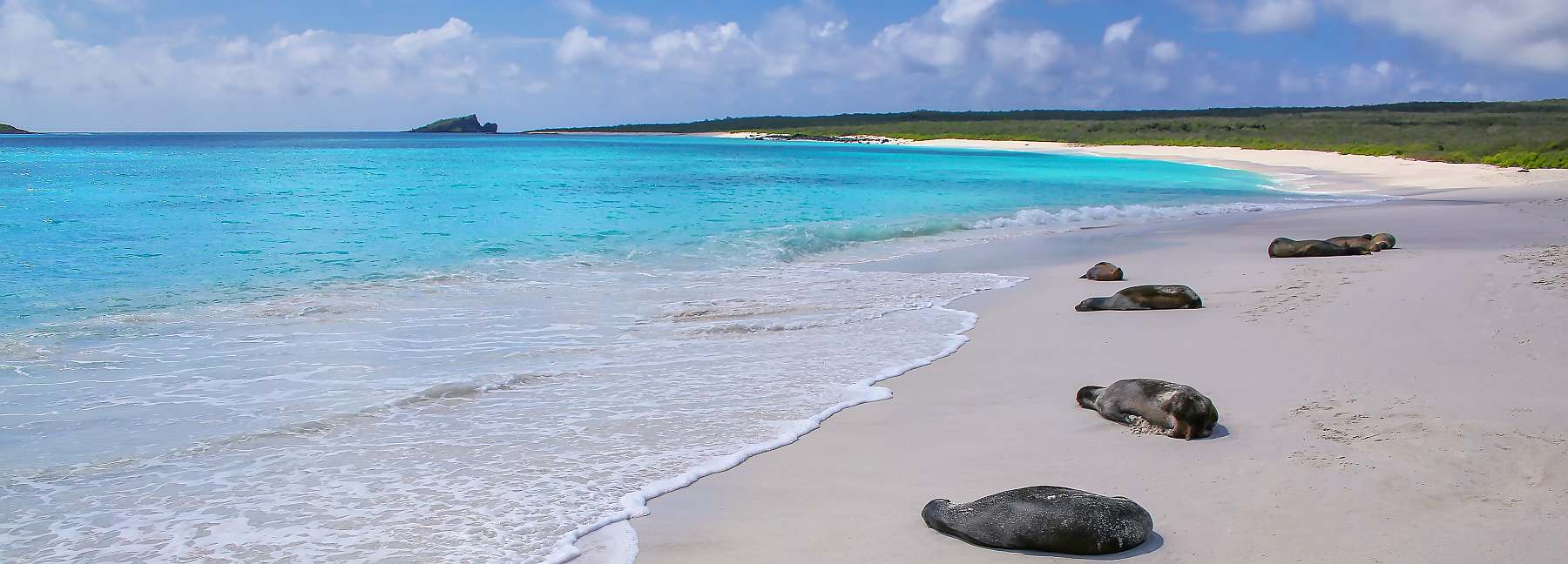 Galapagos-shutterstock_751284088-slider