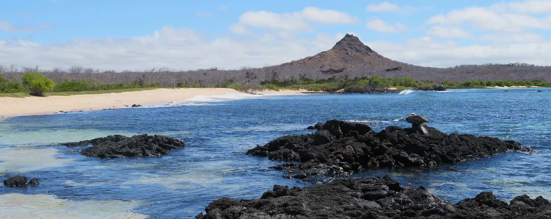 Galapagos-shutterstock_2259177401-slider