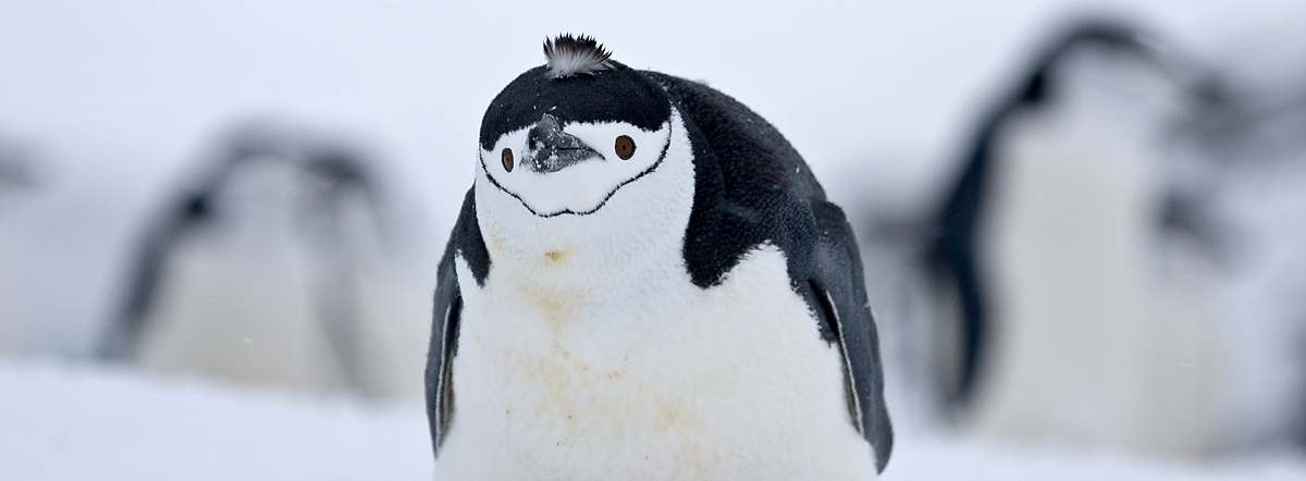 007_Antarktis-8255-small