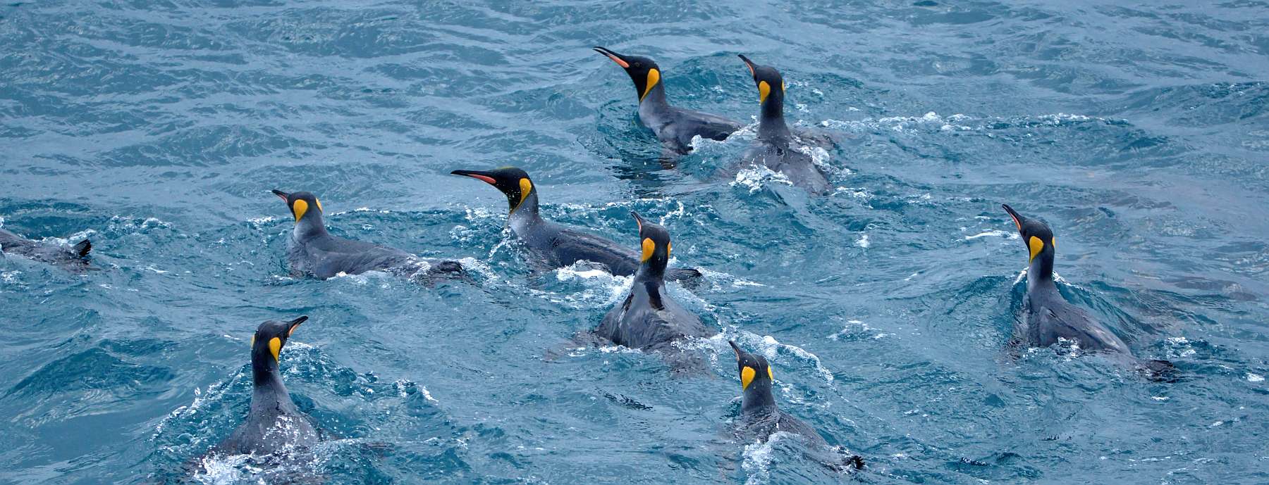 SEA-shutterstock_2538394223-slider