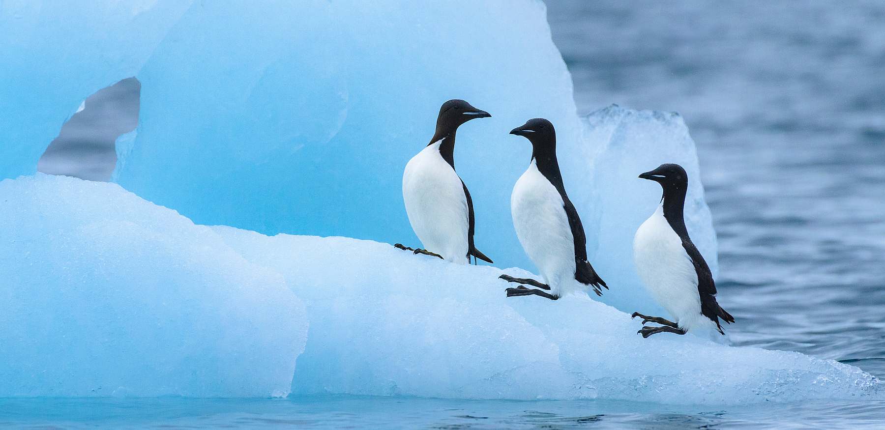 MEA-shutterstock_1828923962-slider