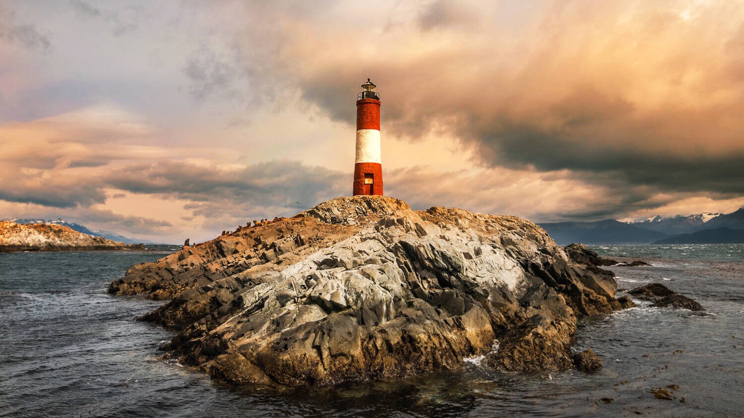 iStock-642806676-e1735835034437